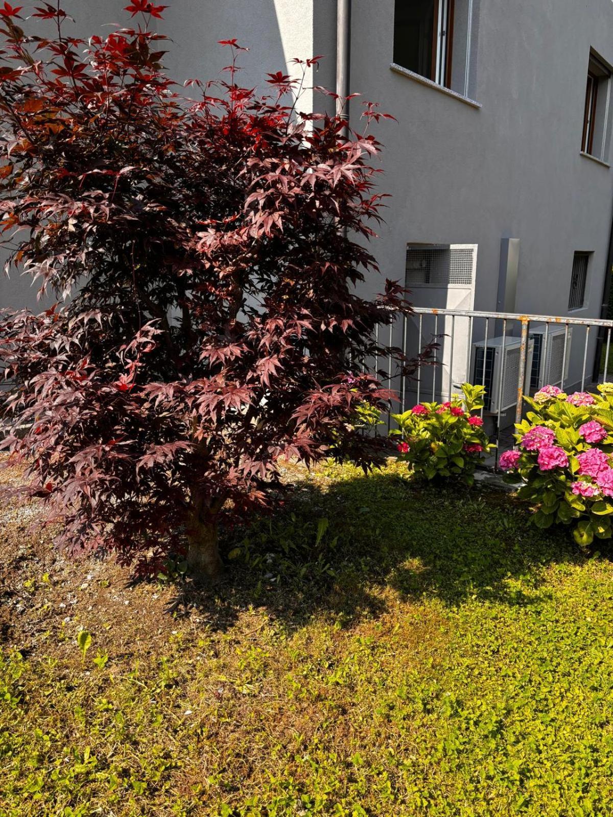 Casette Airport Agata Apartment Seriate